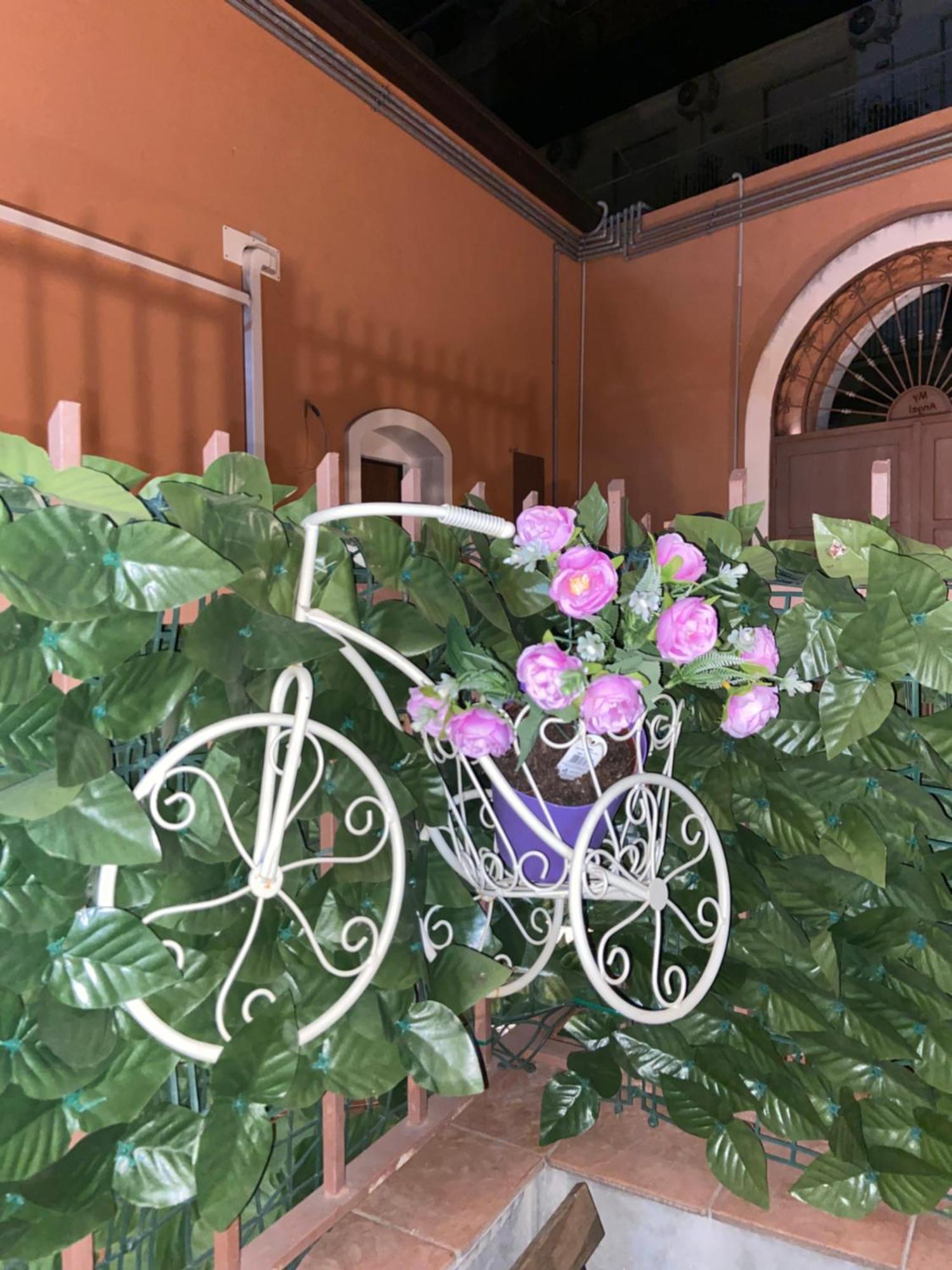 Home Pino Center~600 Mt Duomo Ct كاتانيا المظهر الخارجي الصورة